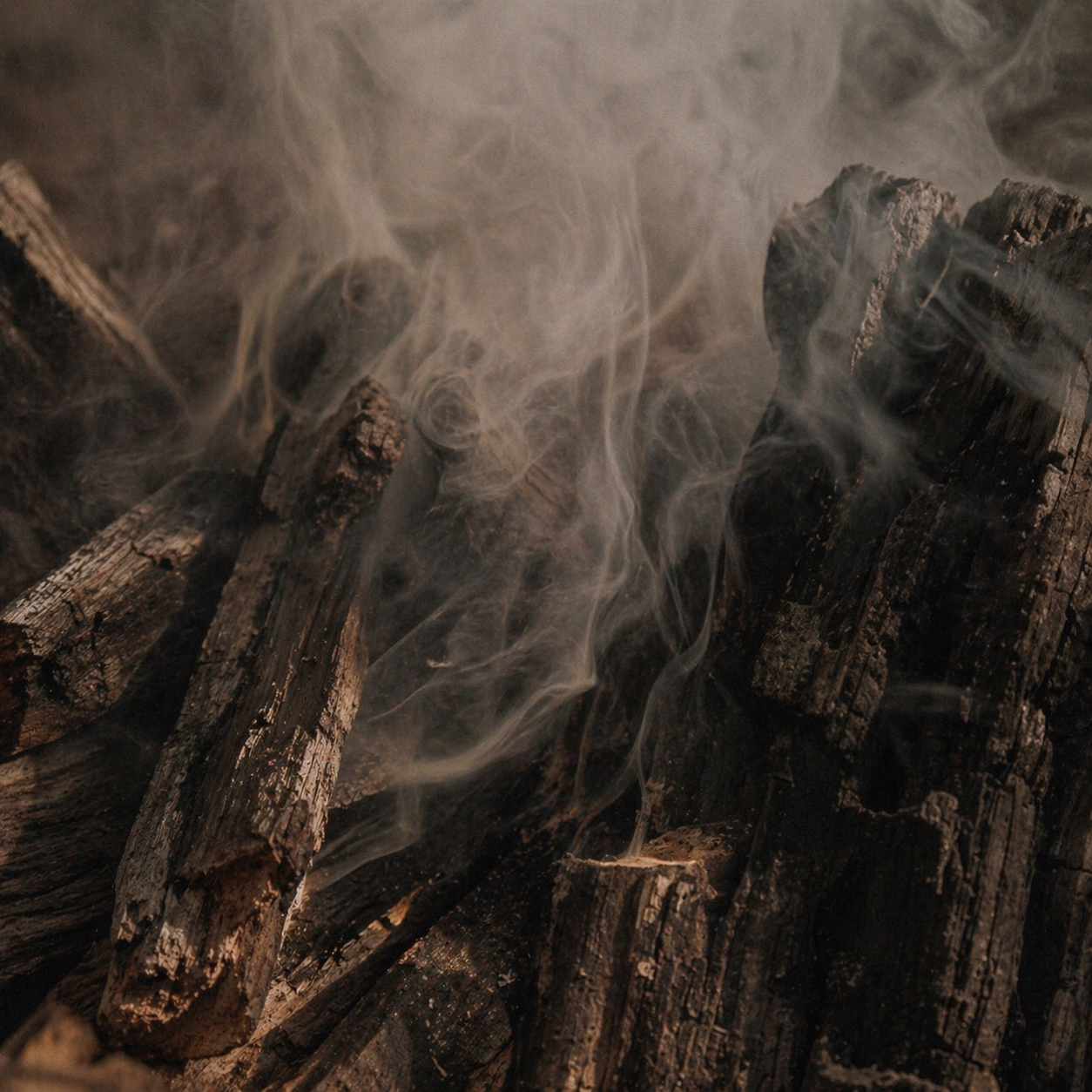 스모키 우디 계열 카드 이미지